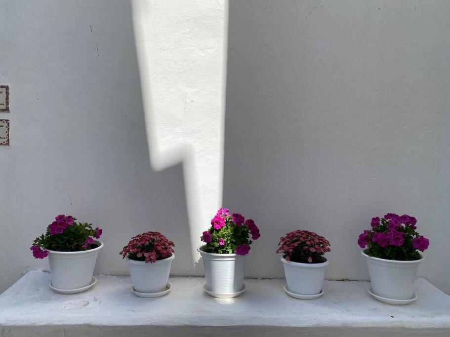 Casa Galeria La Retinta Villa Vejer de la Frontera Kültér fotó